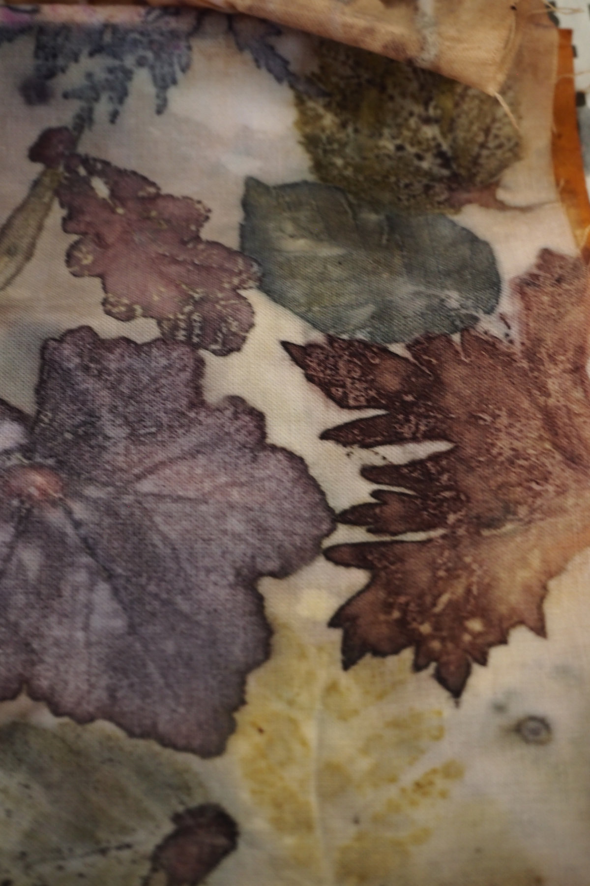 Dye3